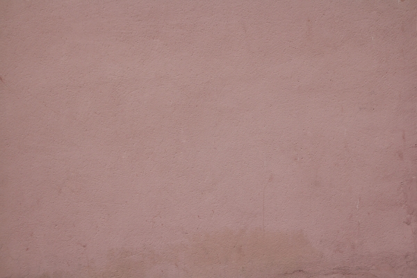 Pink plain painted plaster wall - Concrete - Texturify - Free textures